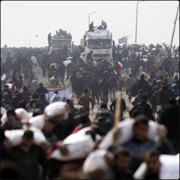 Gaza : des gangs menacent l'aide humanitaire Gaza : des gangs menacent l'aide humanitaire